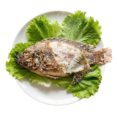 ปลาย่างเกลือrt-removebg-preview